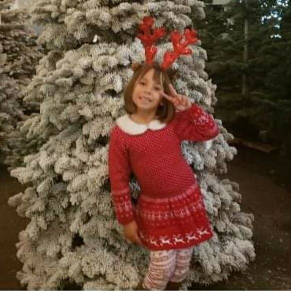 Mrs. Claus Dress Reindeer Print - Picture 6 of 6